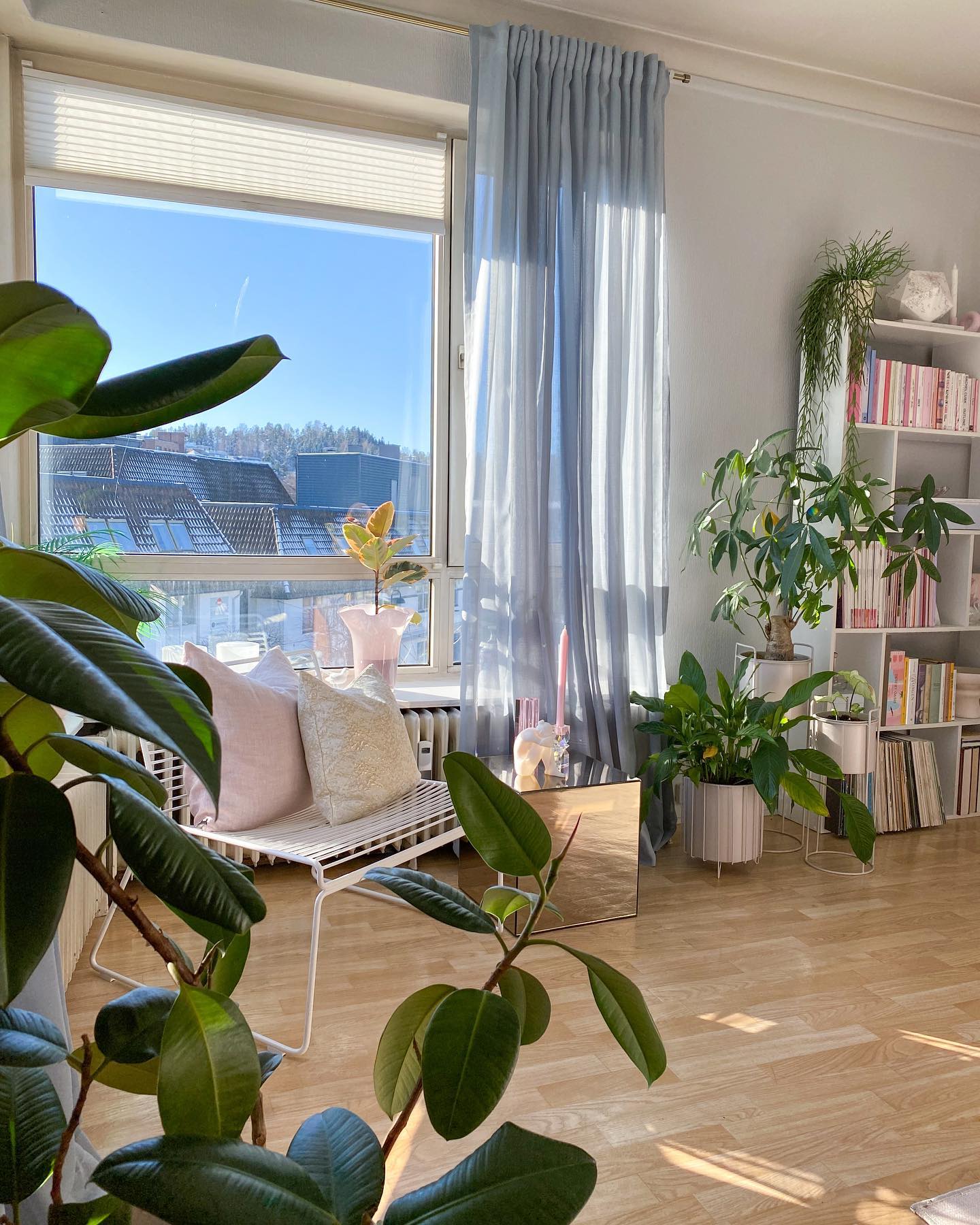 Ljusblå skir gardin upphängd på gardinstång i ett vardagsrum med mycket växter